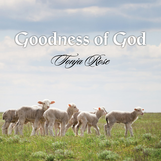 Goodness of God (Acoustic Version) cover