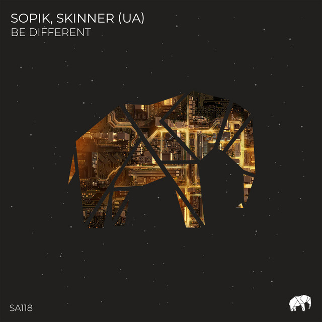 Обкладинка Sopik — Be Different