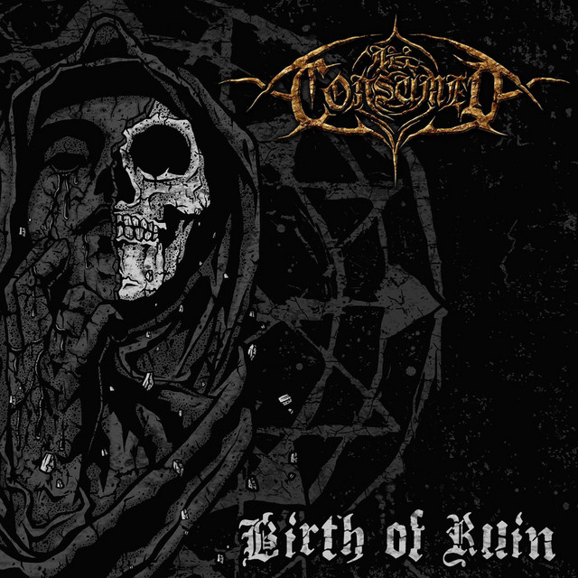 Birth of Ruin cover art