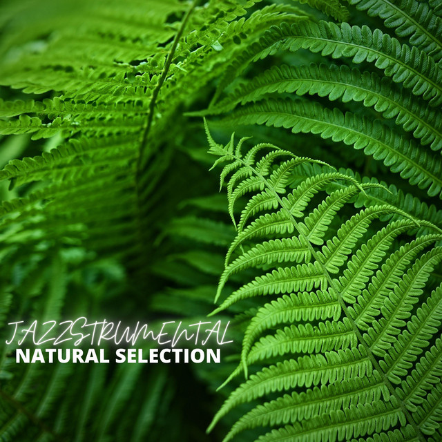 Natural Selection cover art
