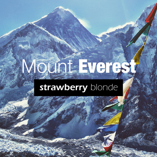 Mount Everest cover