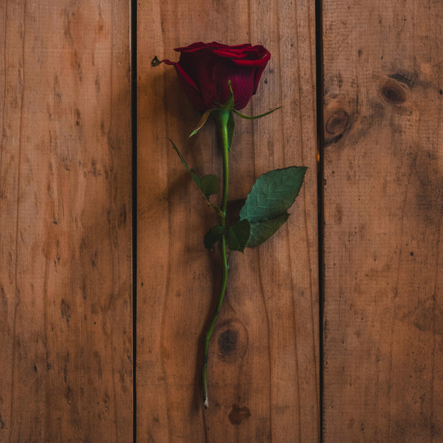 Love Story cover