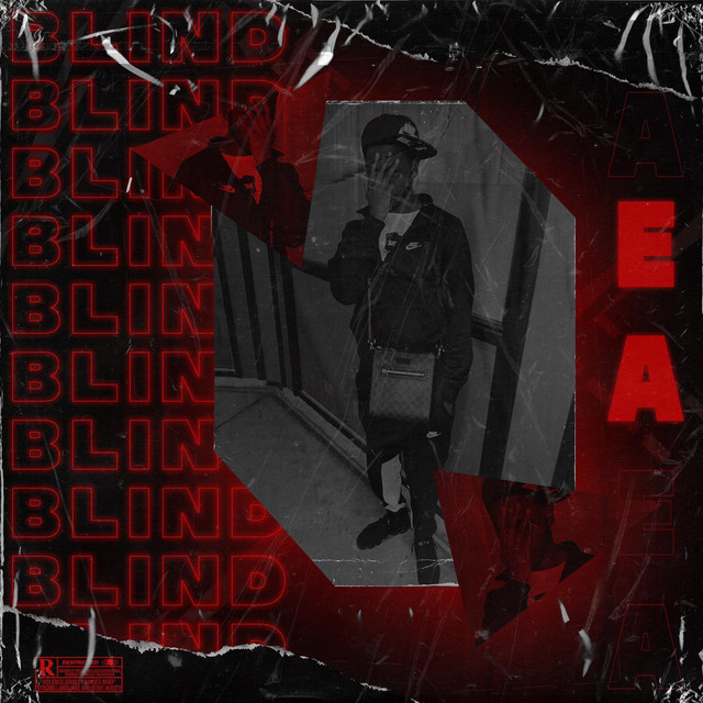 Blind cover art