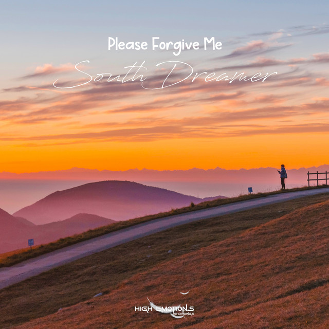 Please Forgive Me - Radio Edit