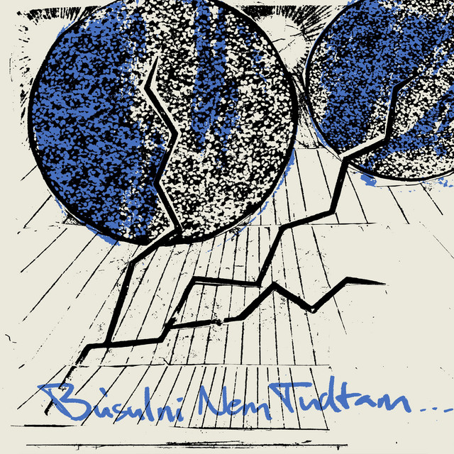 Búsulni Nem Tudtam / Learning Sorrow artwork