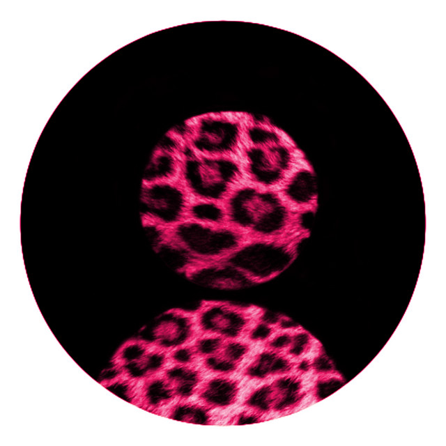 Musik 2 cover art