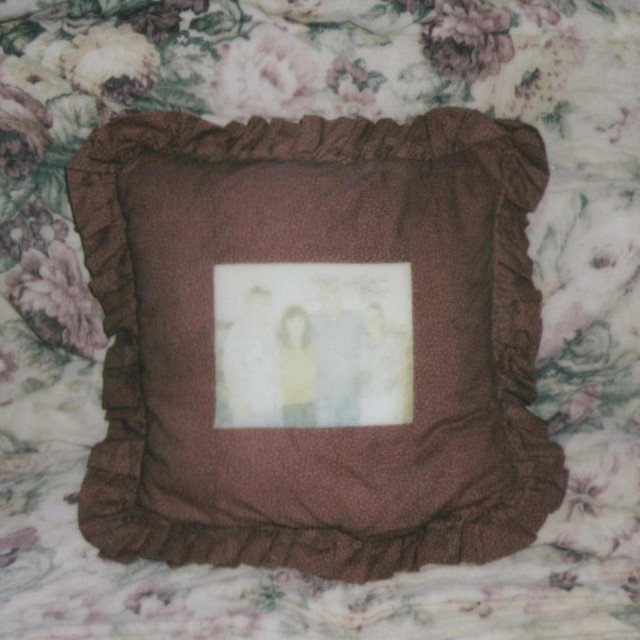 Holy Wild cover art