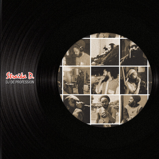 DJ de profession cover art