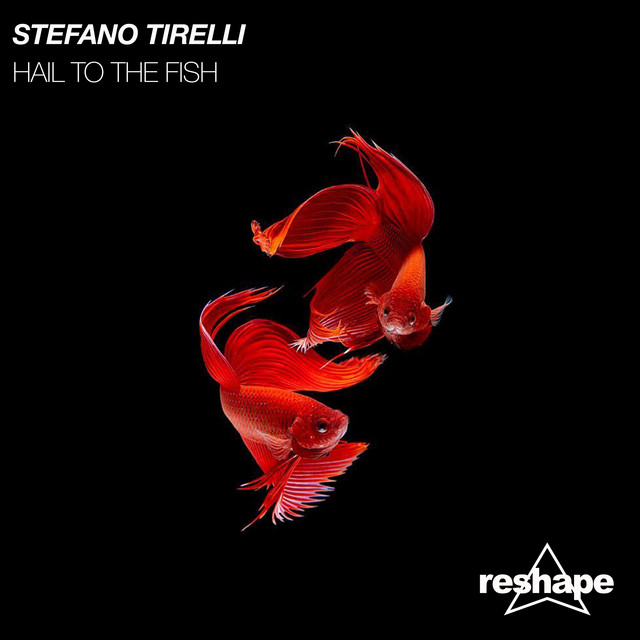 Обкладинка: Hail To The Fish - Original Mix — Stefano Tirelli