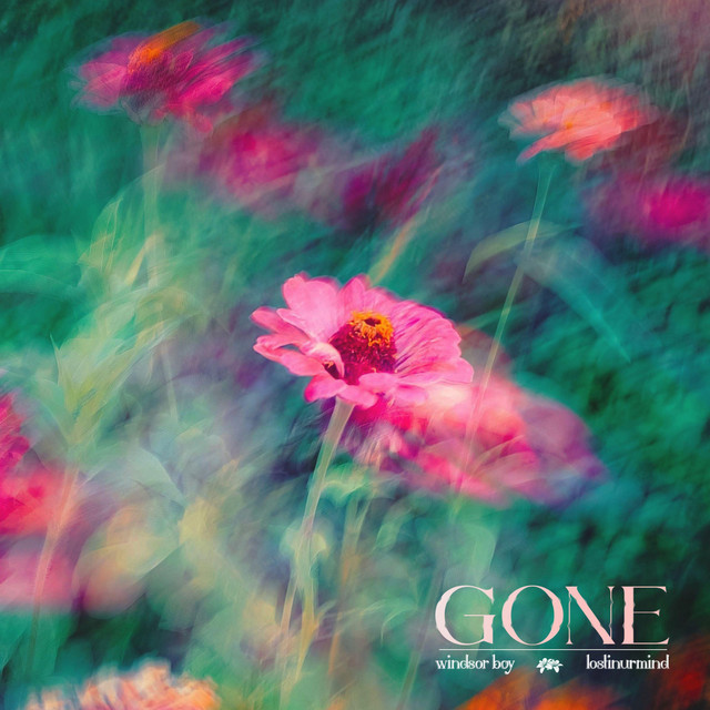 Gone cover art
