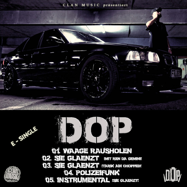 Sie glänzt cover art