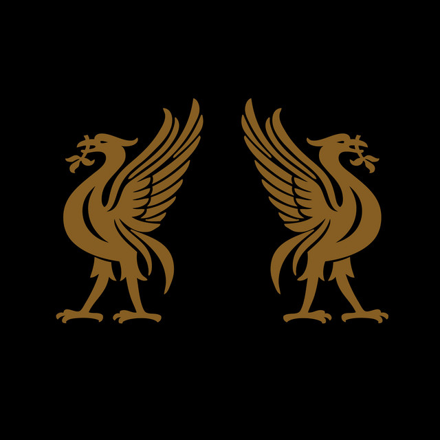 Liverbirds cover art