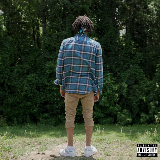 Life cover art