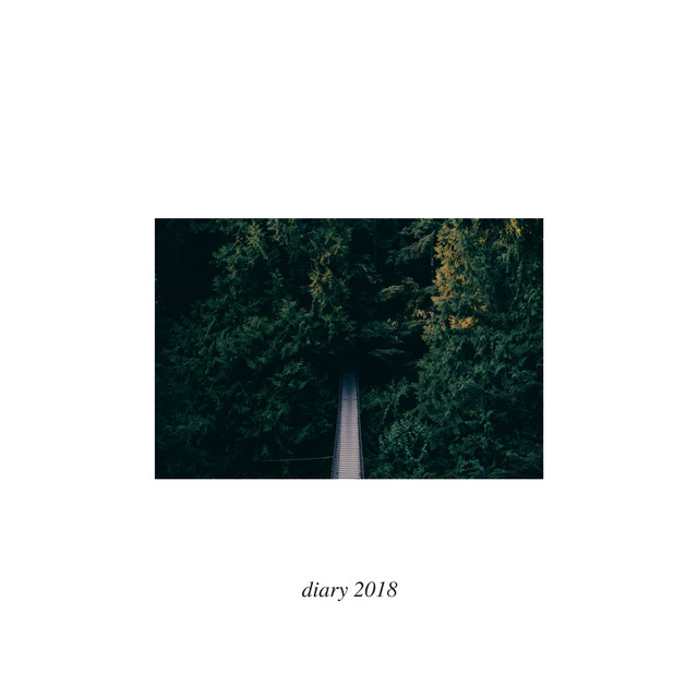 diary 2018 cover art