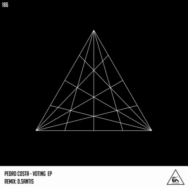Voting - D.santis Remix cover art