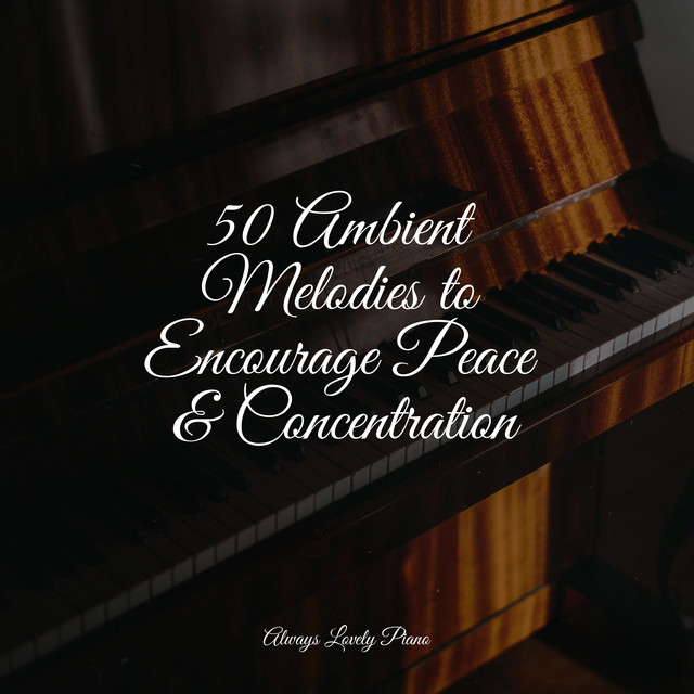 50 Piano Sounds for a Mindful Relaxation - Album by Piano Mood | Spotify