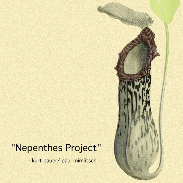 Nepenthes Project cover art