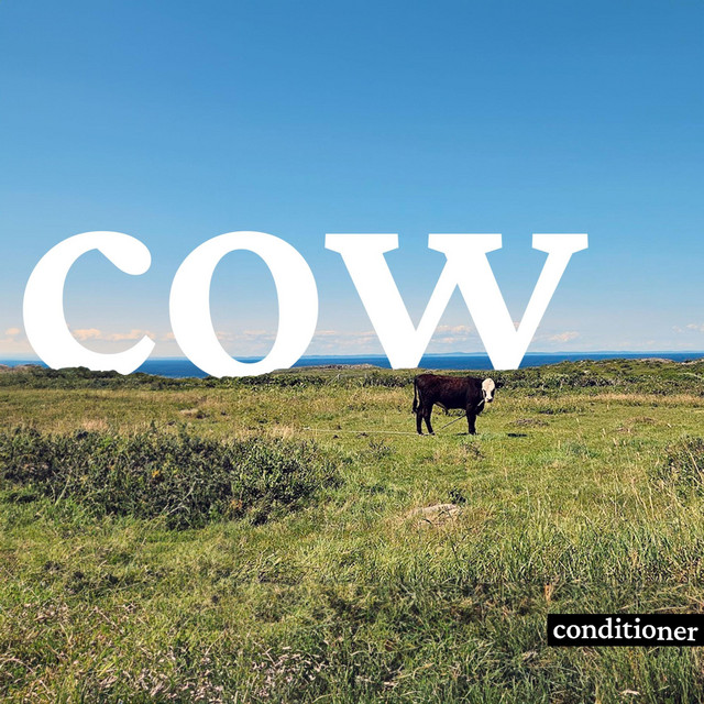 COW cover art
