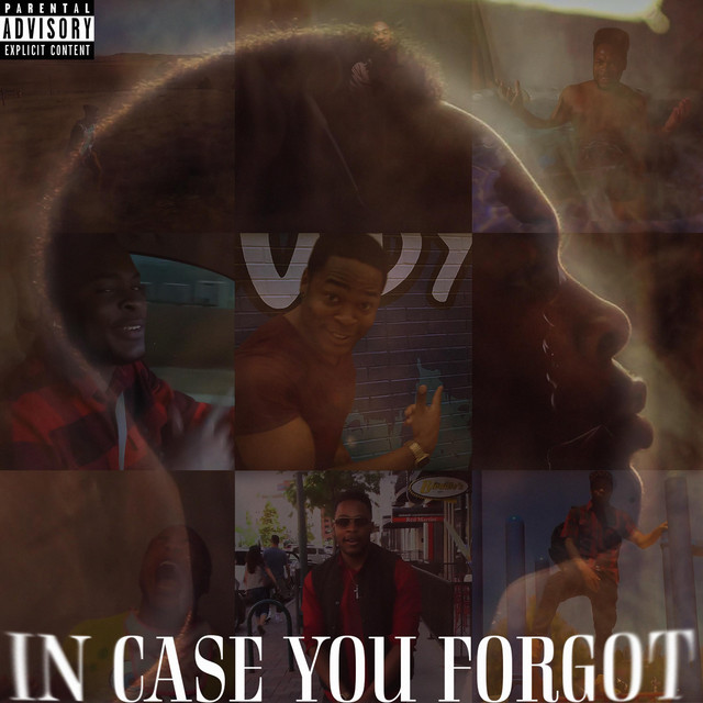 In Case You Forgot cover art