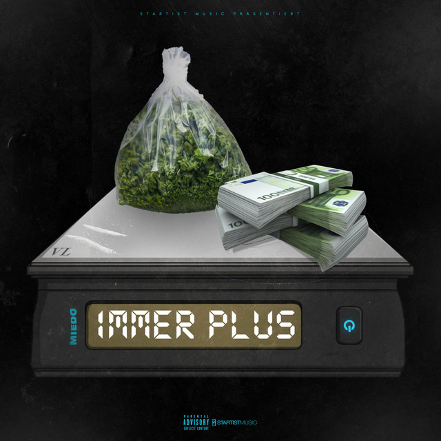 Immer Plus cover art