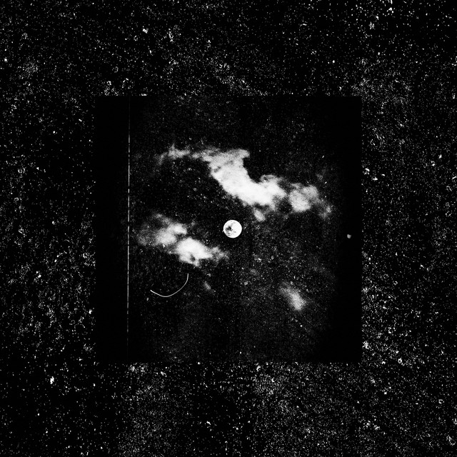 DROP DEAD - Single by Cam Steady | Spotify