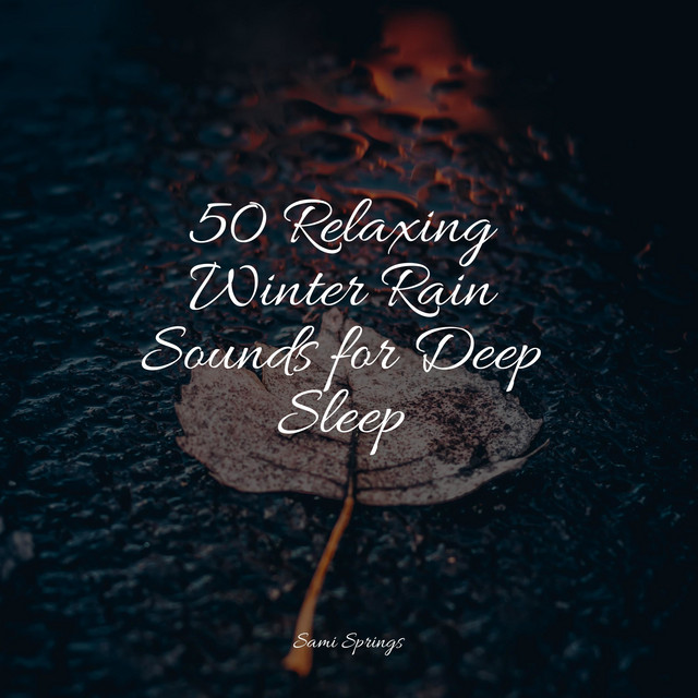 50 Relaxing Winter Rain Sounds for Deep Sleep - Album by Weather Sounds ...