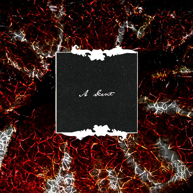 A Scent