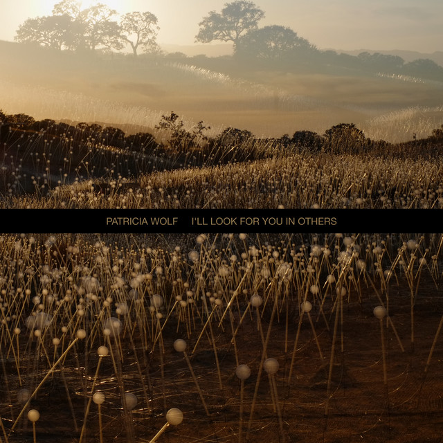 I'll Look For You In Others cover art