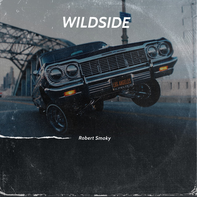 Wildside - song and lyrics by Robert Smoky | Spotify