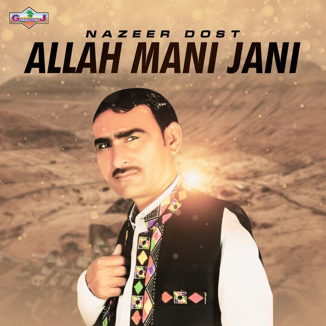 Nazeer Dost image