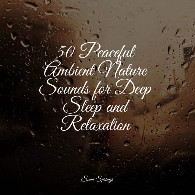 50 Peaceful Ambient Nature Sounds for Deep Sleep and Relaxation - Album ...