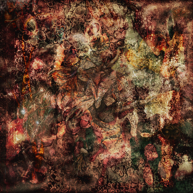 Turbera cover art