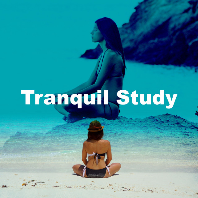 Tranquil Study cover art