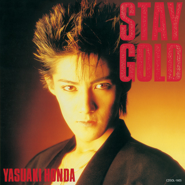Stay gold 様まとめ商品 Stay 様まとめ商品 gold