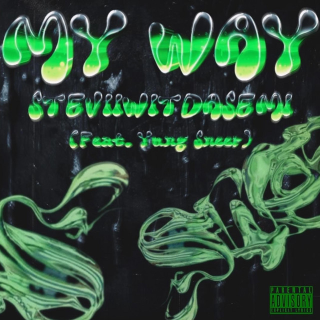 SteviiWitDa$emi