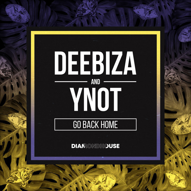 Go Back Home - Extended Mix cover art