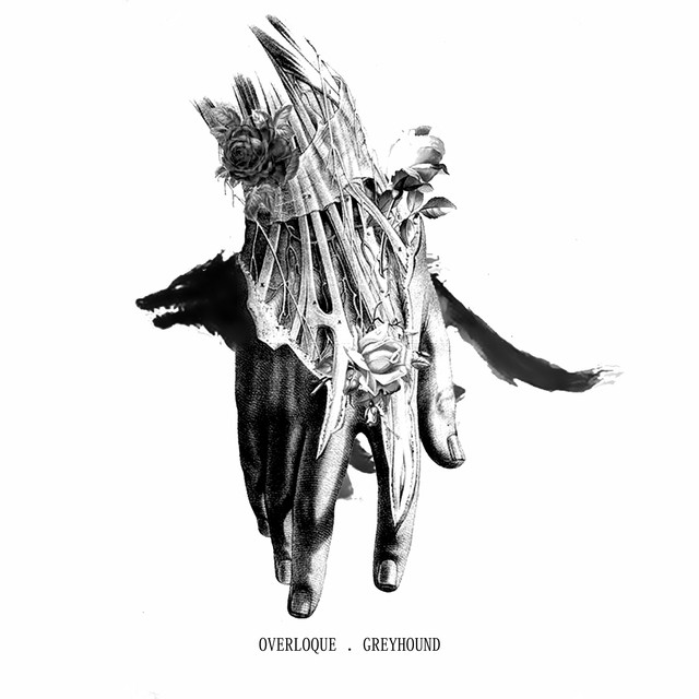 Greyhound cover art
