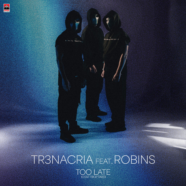 Pochette de Too late (C'est Trop Tard) (feat. ROBINS)