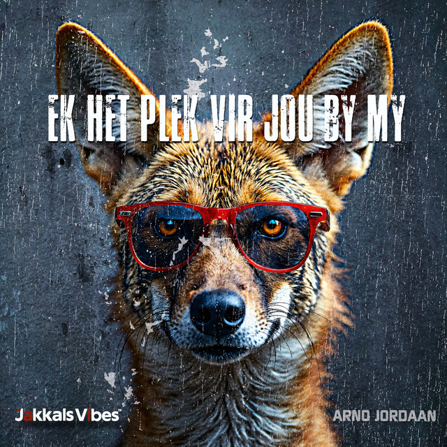 Ek Het Plek Vir Jou By My cover art
