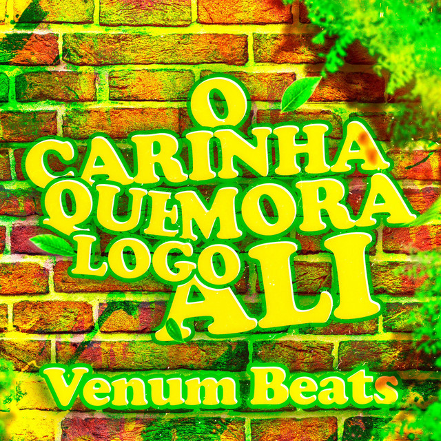 Rap de Todo Mundo Odeia o Chris – música e letra de Venum Beats