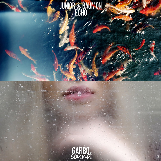 Echo cover art