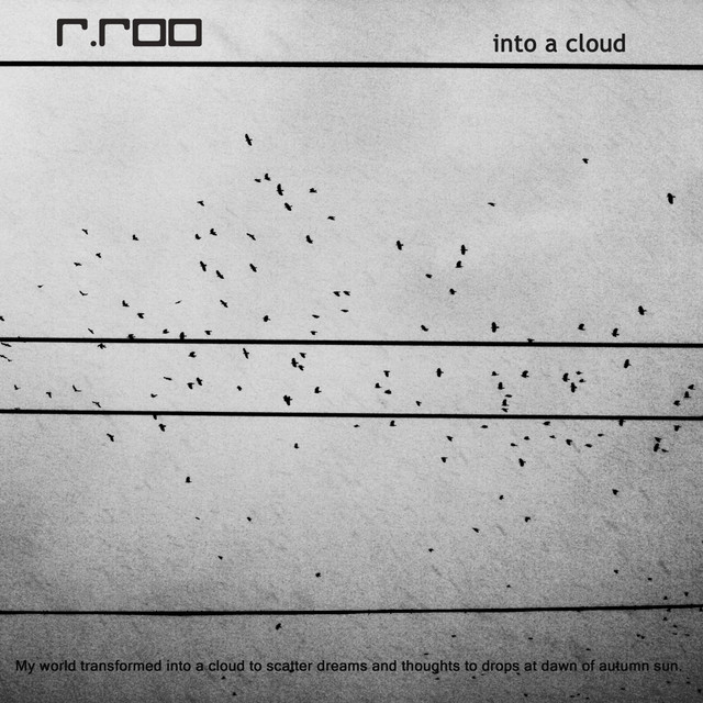 Обкладинка r.roo — Into a Cloud
