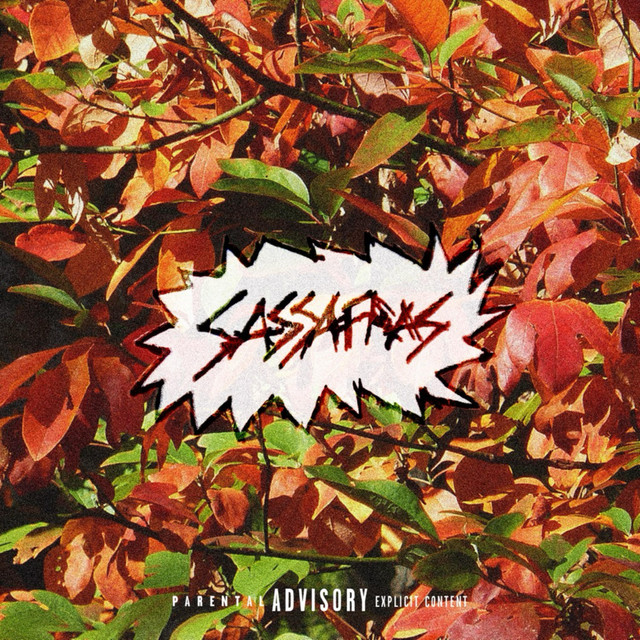 SASSAFRAS cover art