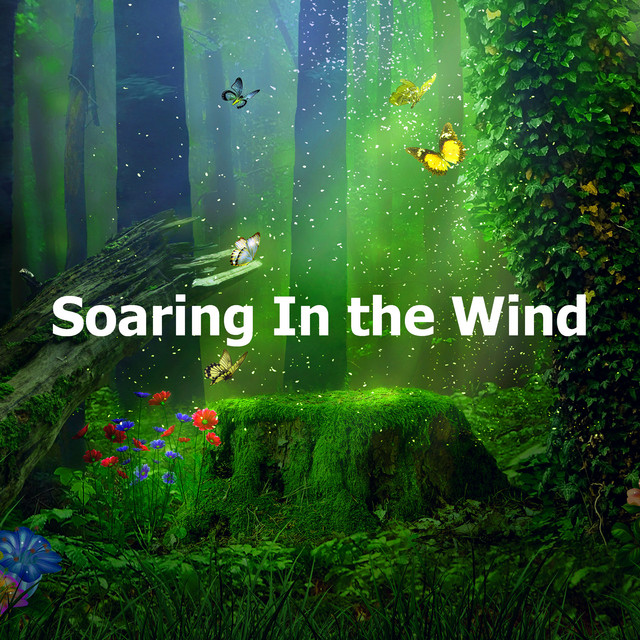 Soaring In the Wind - Album by Pro Sound Effects Library | Spotify