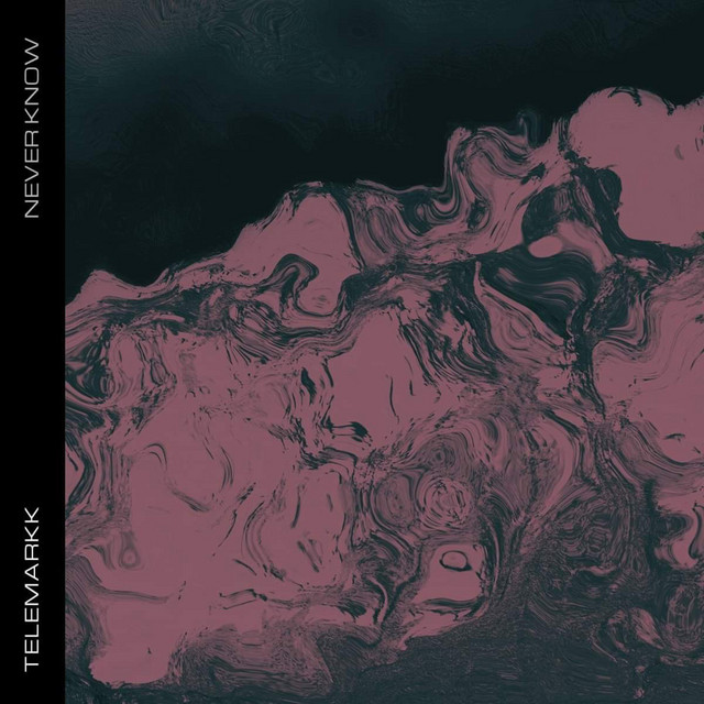 Never Know cover art