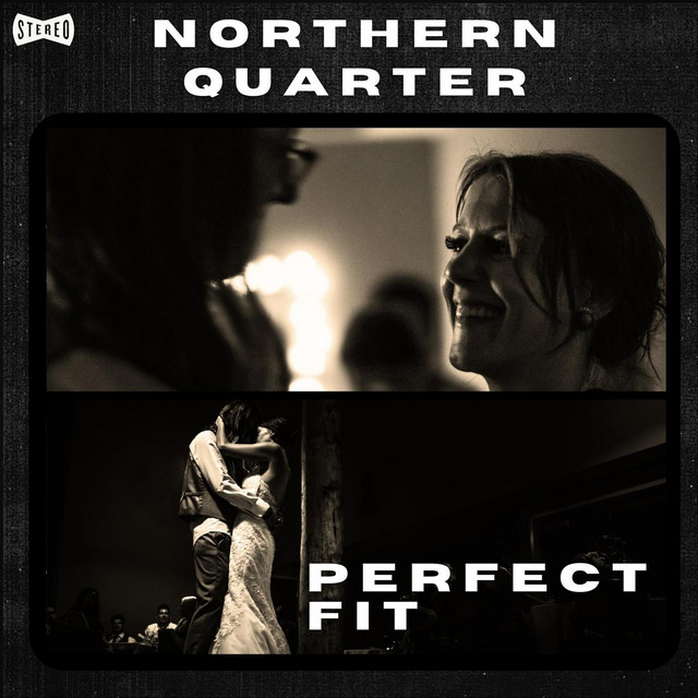 Perfect Fit cover