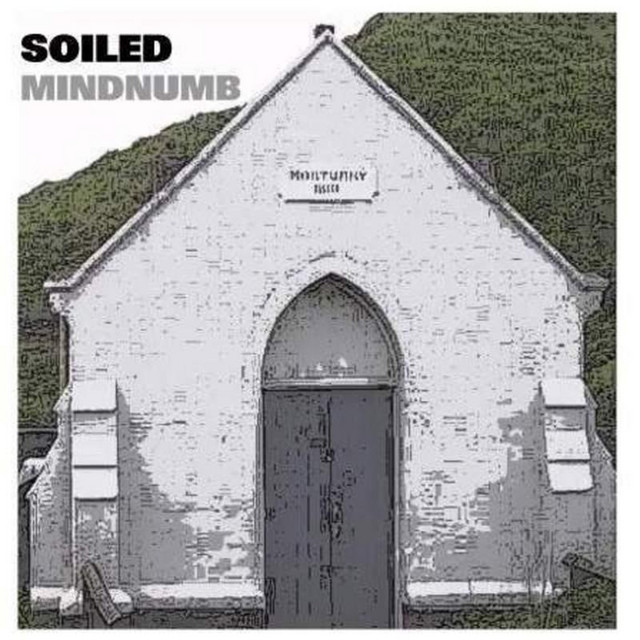 Mindnumb cover
