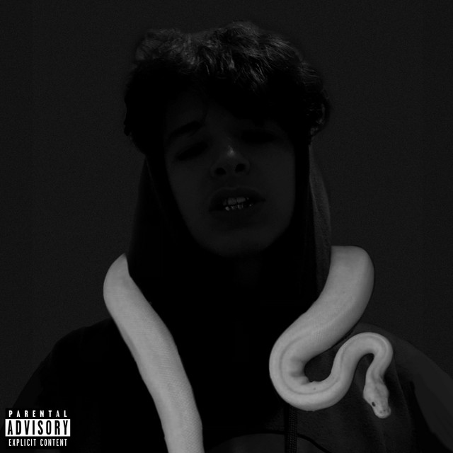 WHYTE SNAKE cover art