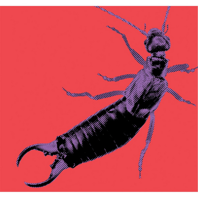 Earwig cover art