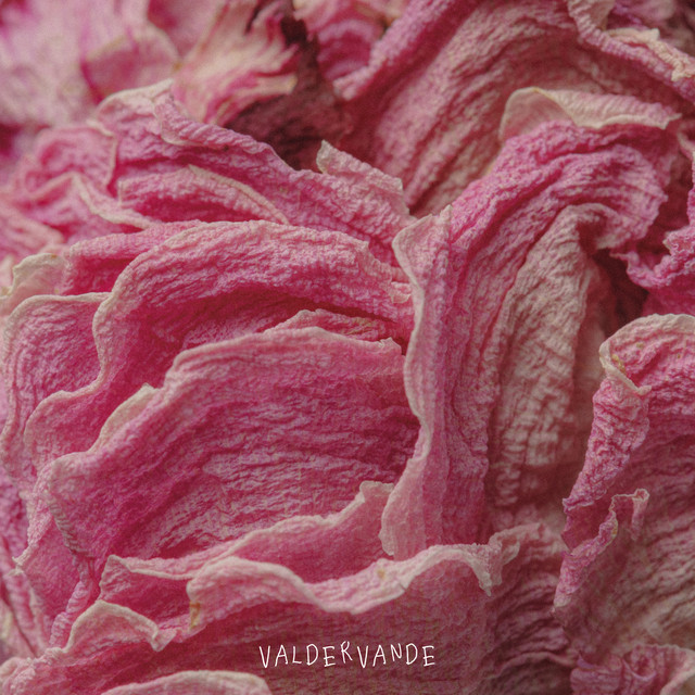 Serendipitous Pink Noise cover art